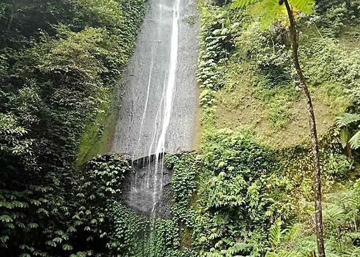 Manigelang Munduk